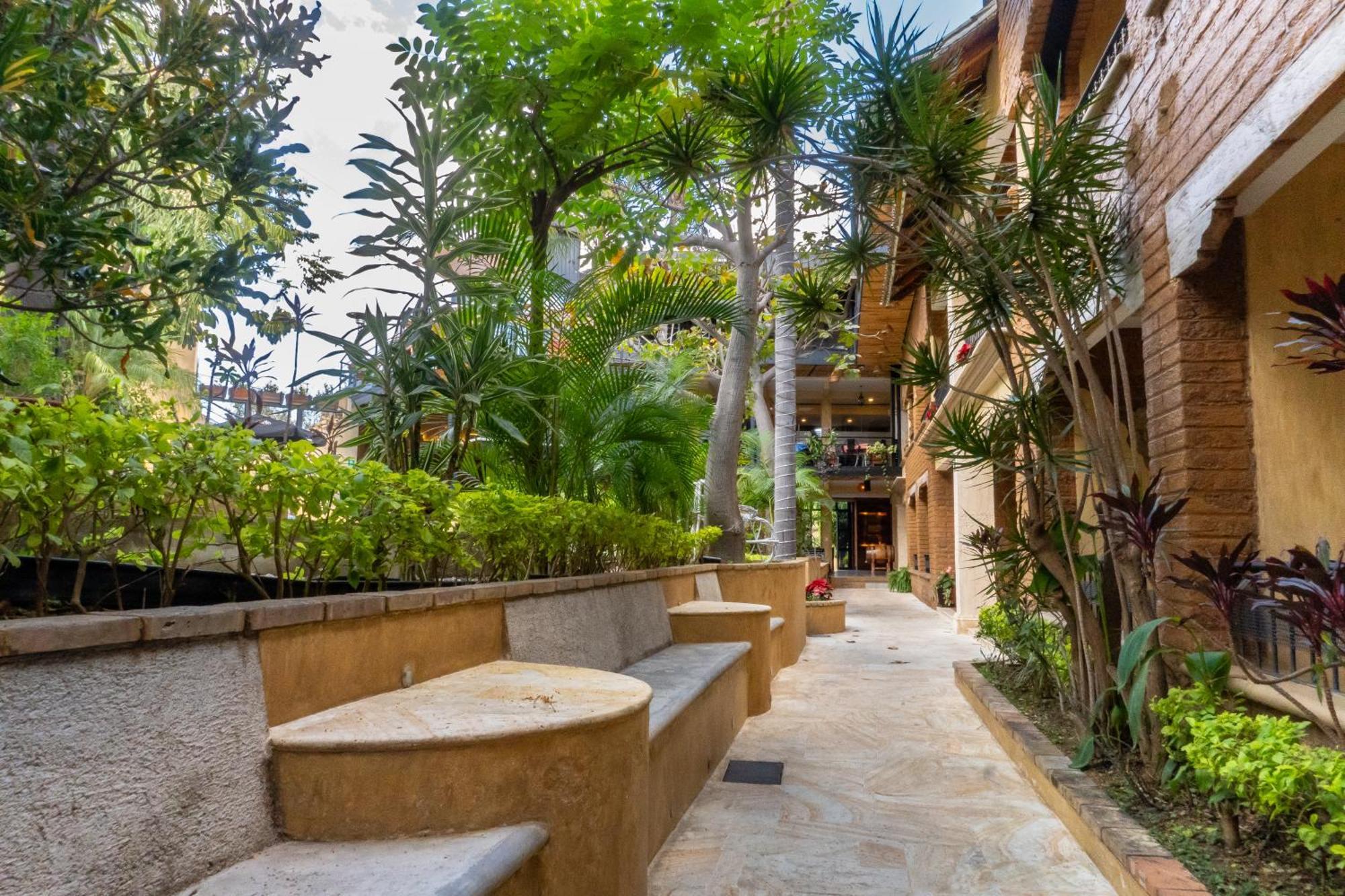 Casa De Adobe Gallery & Luxury Boutique Oaxaca Екстериор снимка